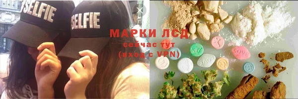 гидропоника Алзамай