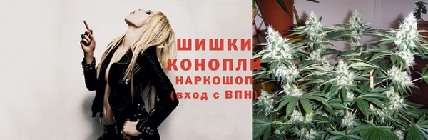 бошки Алексин