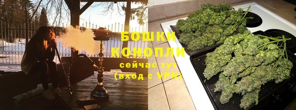 бошки Алексин