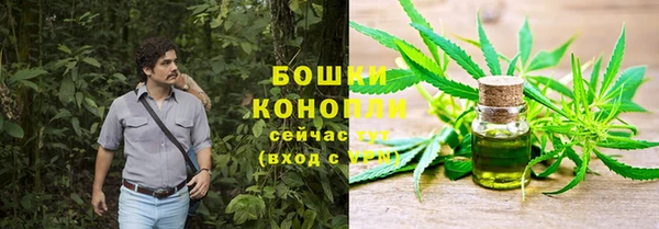 МДПВ Рославль