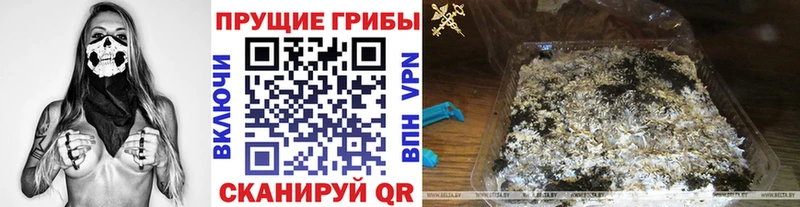 купить   Кыштым  мориарти клад  Псилоцибиновые грибы мухоморы 